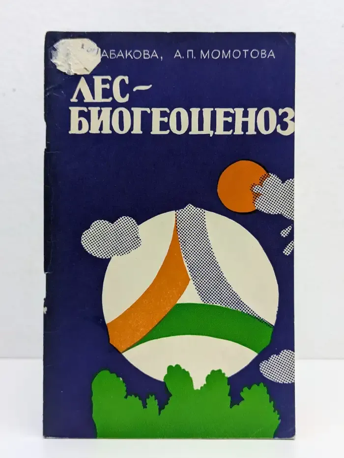 Лес - биогеоценоз