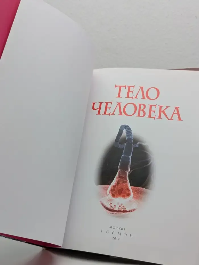 Тело человека
