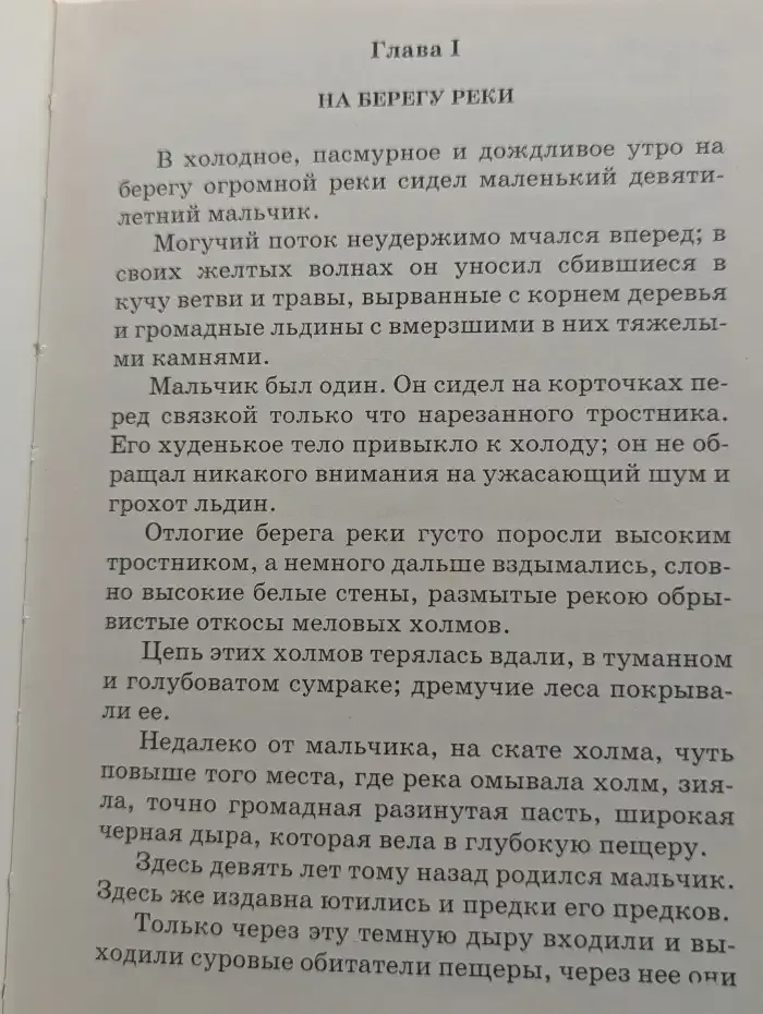 Приключения доисторического мальчика
