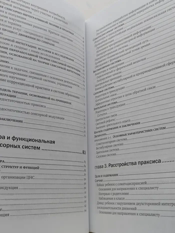 Сенсорная интеграция. Теория и практика