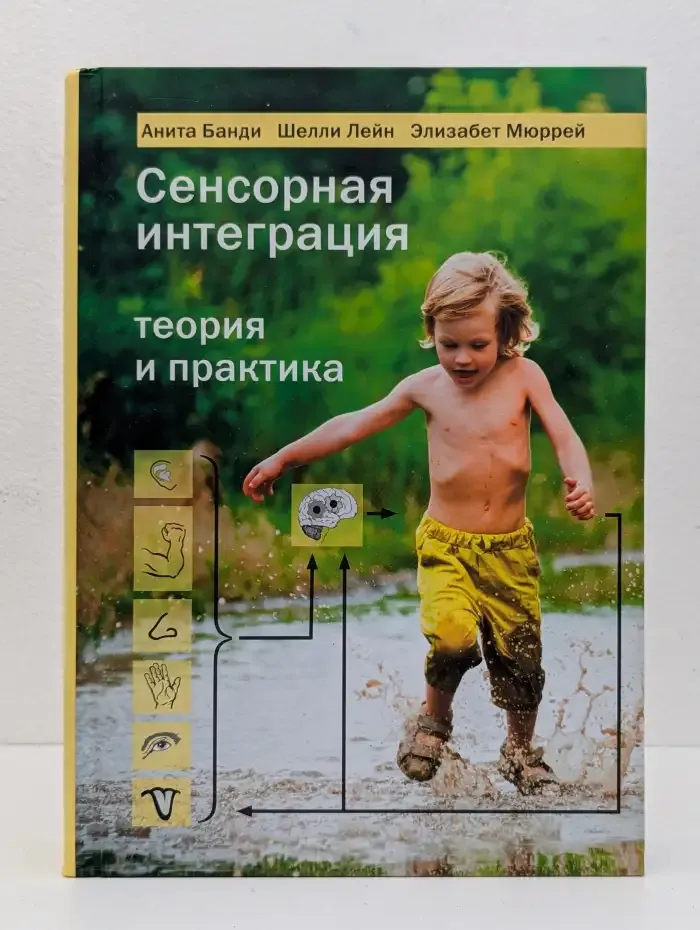 Сенсорная интеграция. Теория и практика