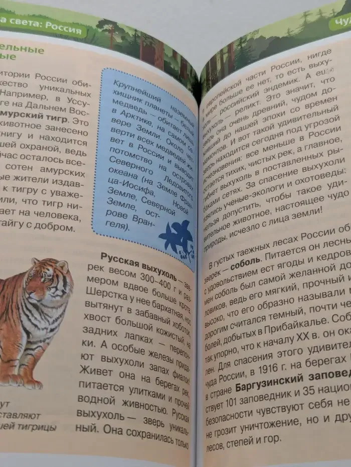Чудеса света. Россия. Детская энциклопедия