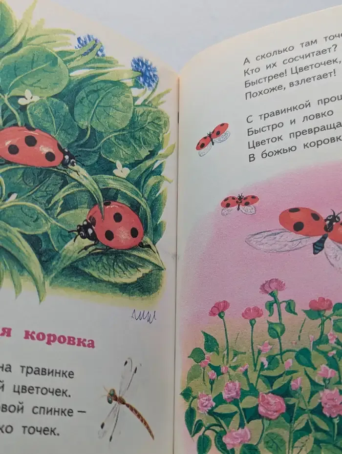 Стихи и загадки о временах года