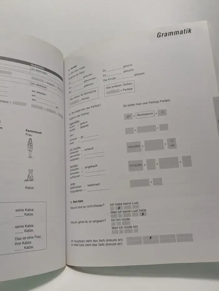 Pingpong Neu 2. Arbeitsbuch. Deutsch als Fremdsprache