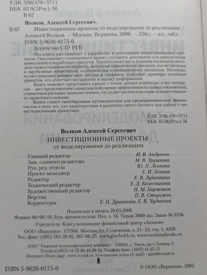 Инвестиционные проекты: от моделирования до реализации