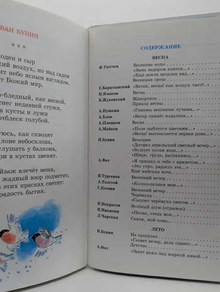 Времена года. Стихи русских поэтов