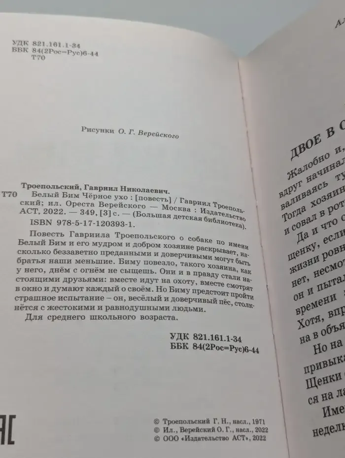 Белый Бим Чёрное ухо