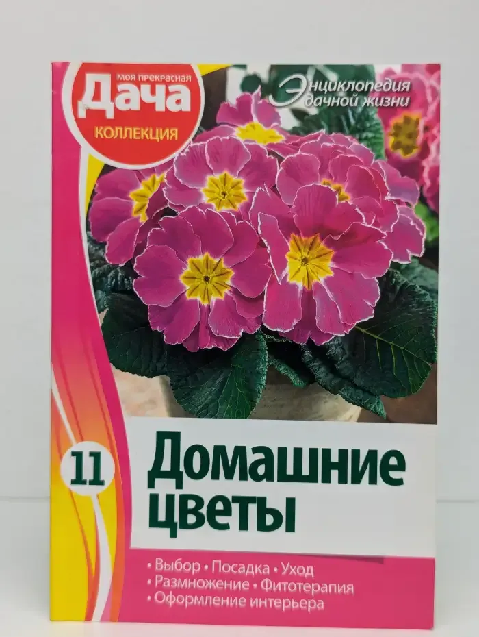 Домашние цветы