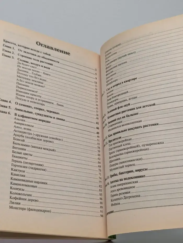 Домашние цветы