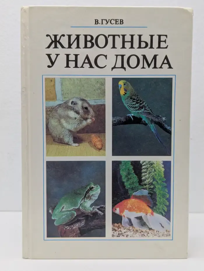 Животные у нас дома