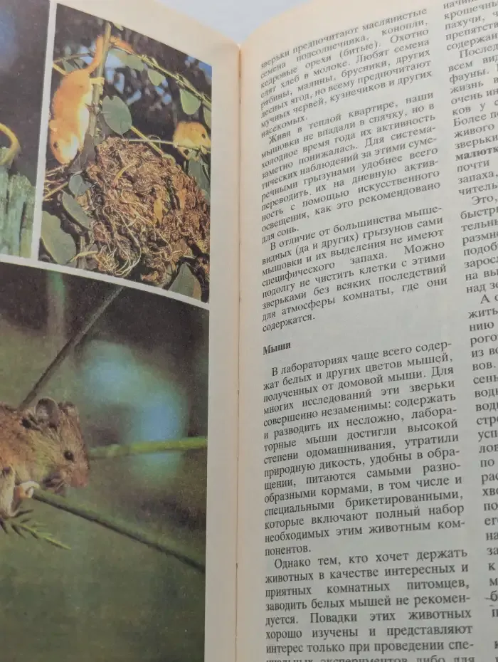 Животные у нас дома