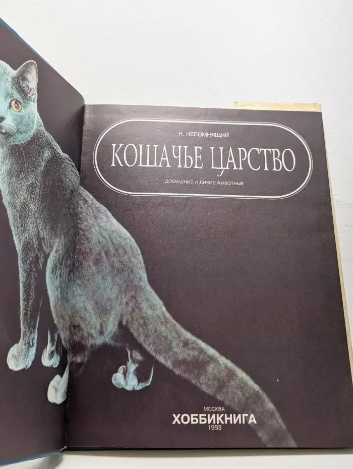 Кошачье царство. Домашние и дикие животные