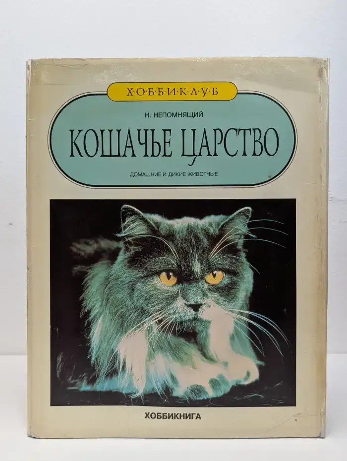 Кошачье царство. Домашние и дикие животные