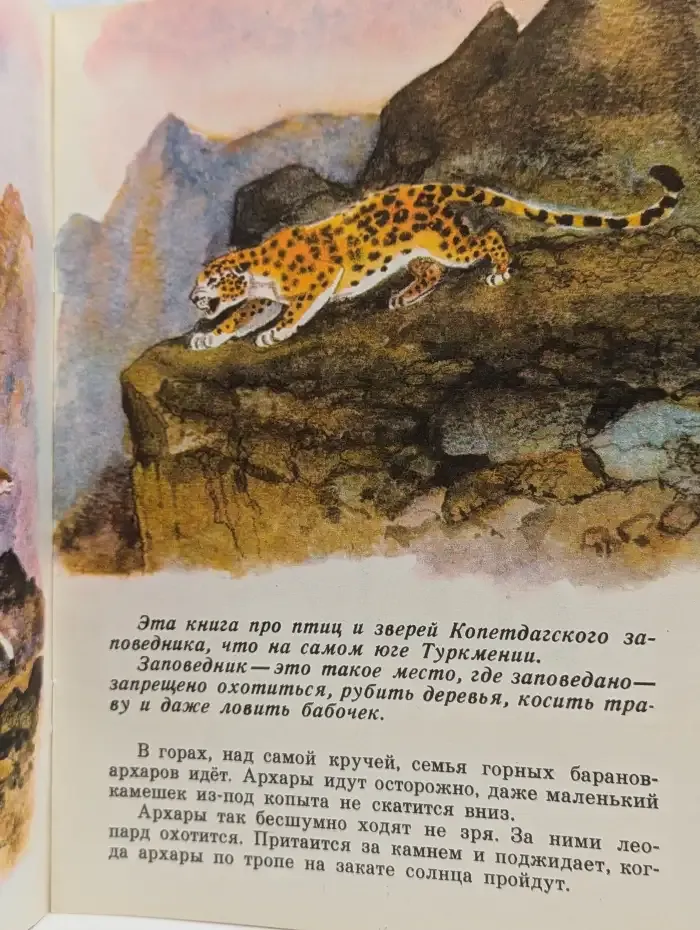 В заповеднике