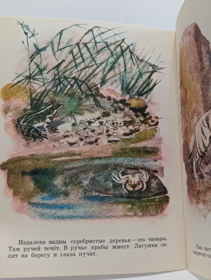 В заповеднике