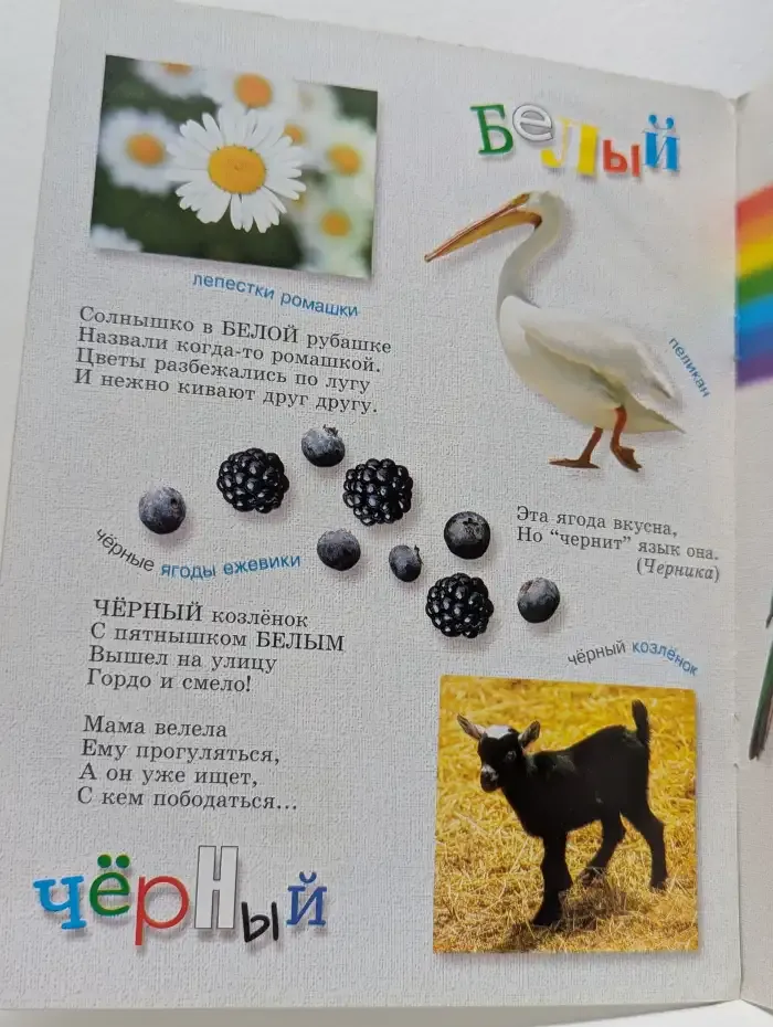 Первые уроки малыша. Цвета радуги