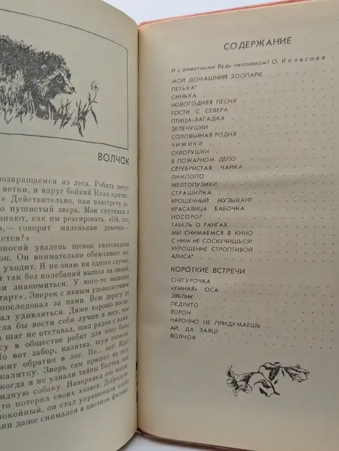 Рядом с нами