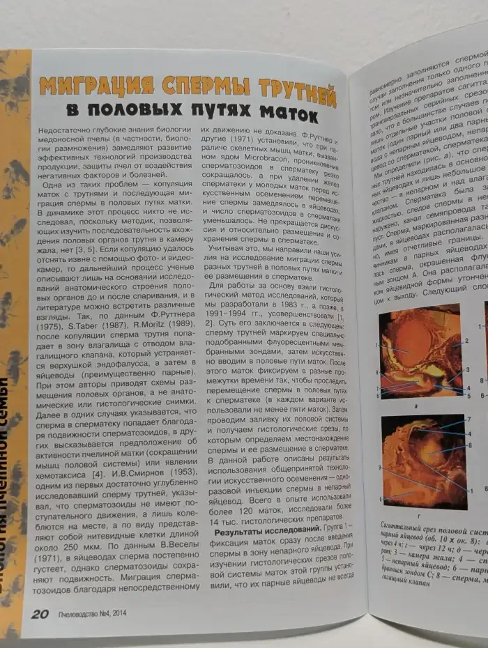 Журнал "Пчеловодство". Выпуск 4, 2014