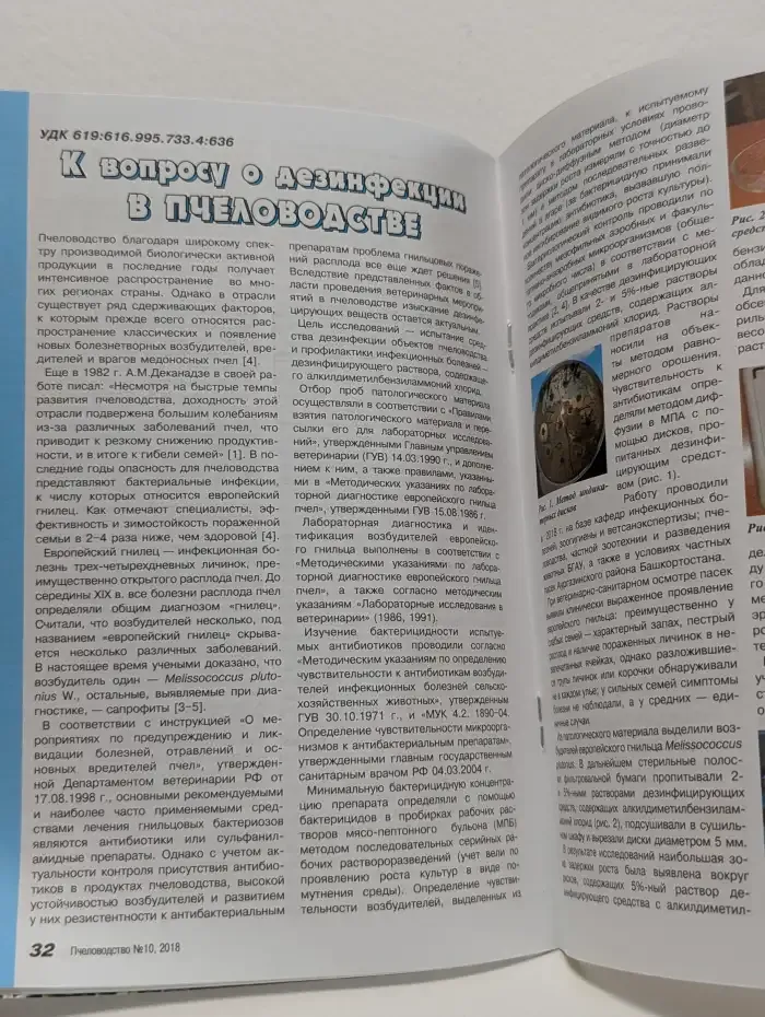 Журнал "Пчеловодство". Выпуск 10, 2018