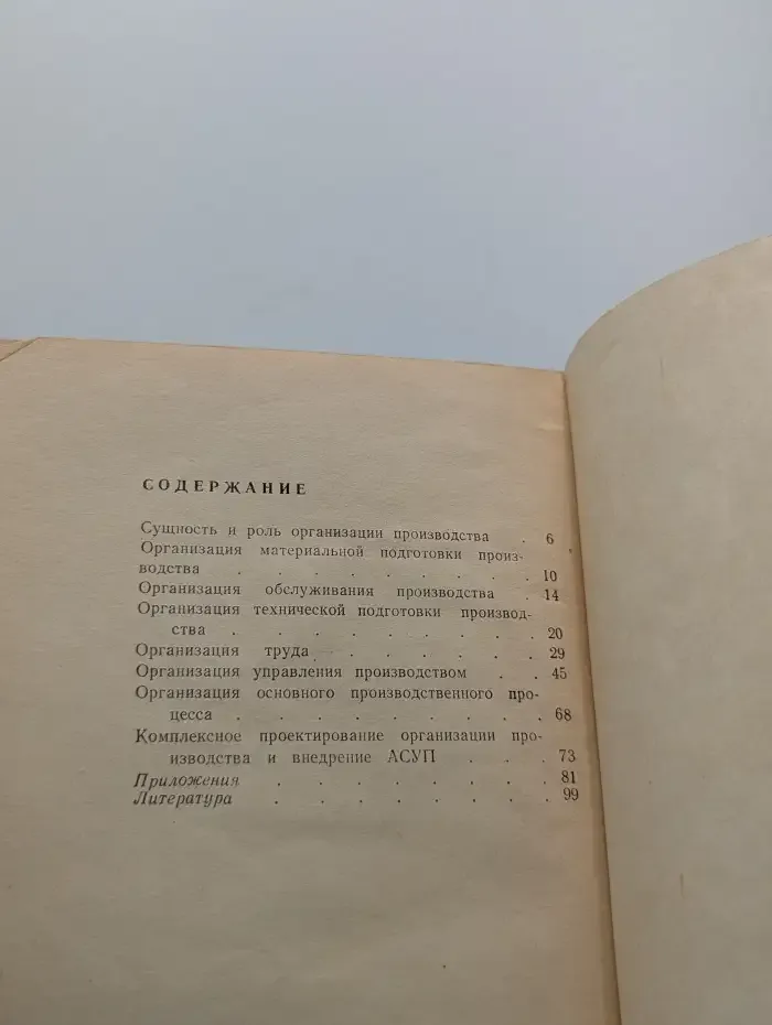 Организация производства: опыт и перспективы