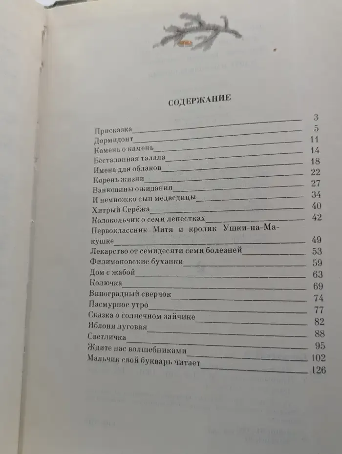 Ждите нас волшебниками