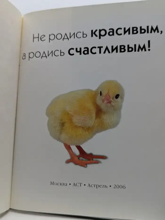 Не родись красивым, а родись счастливым!