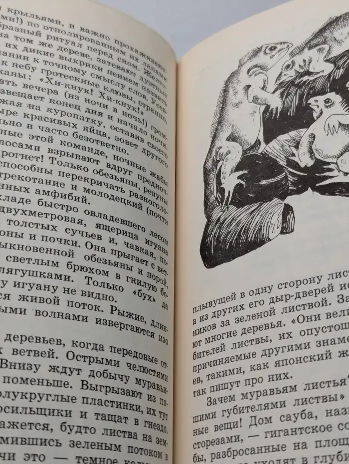 С вечера до утра