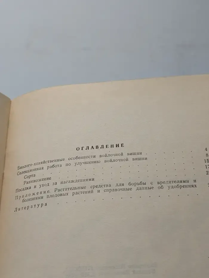 Войлочная вишня в вашем саду