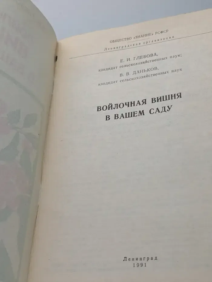 Войлочная вишня в вашем саду