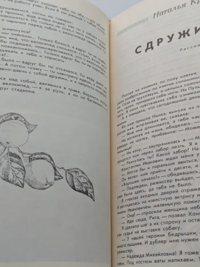 Дружба 81