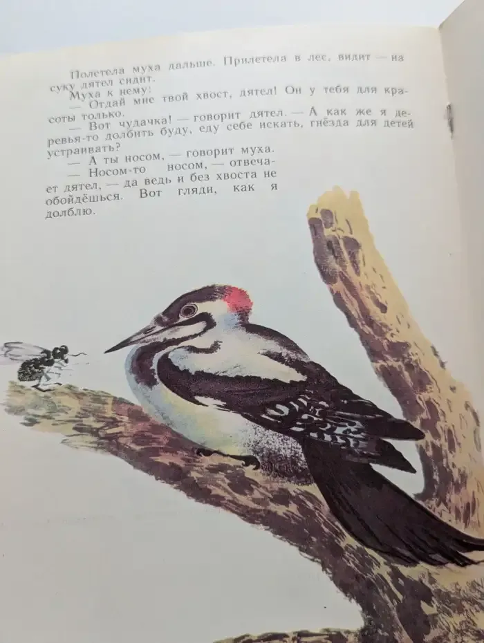 Хвосты