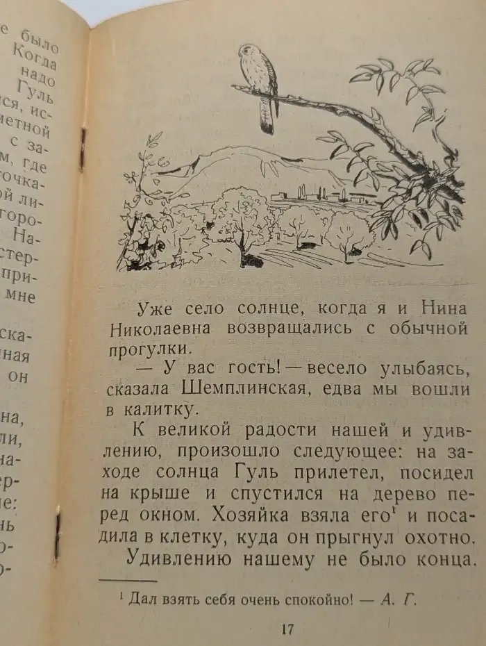 История одного ястреба