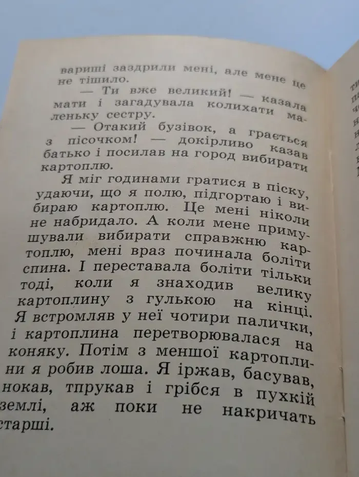 Шматок пирога
