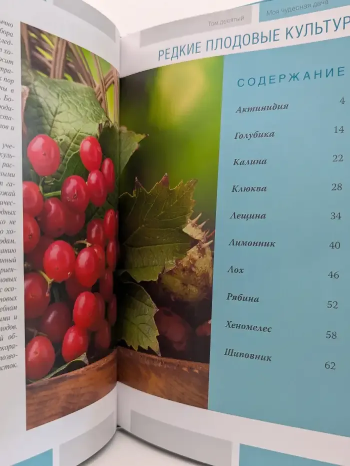Редкие плодовые культуры