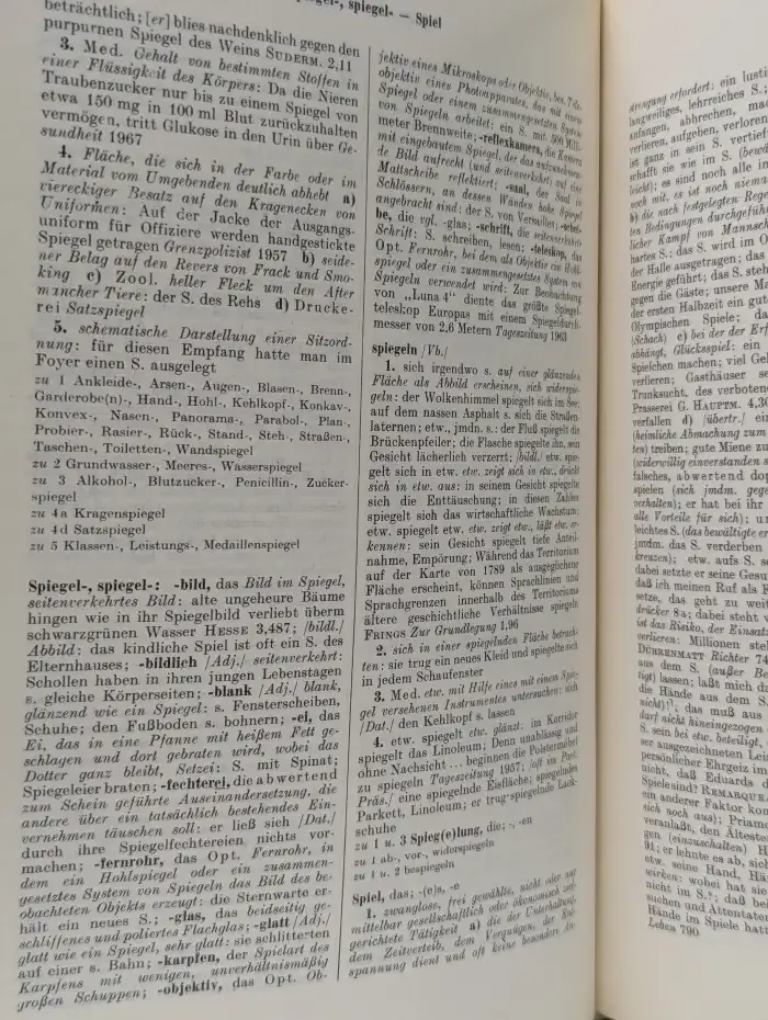 Worterbuch der deutschen Gegenwartssprache. Band 5