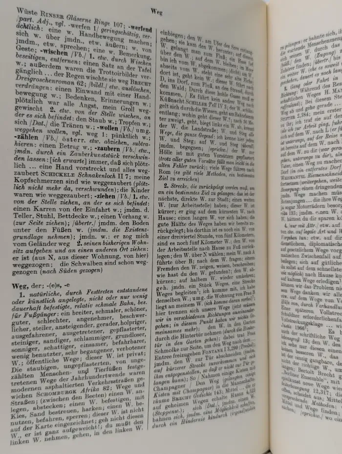 Worterbuch der deutschen Gegenwartssprache. Band 6
