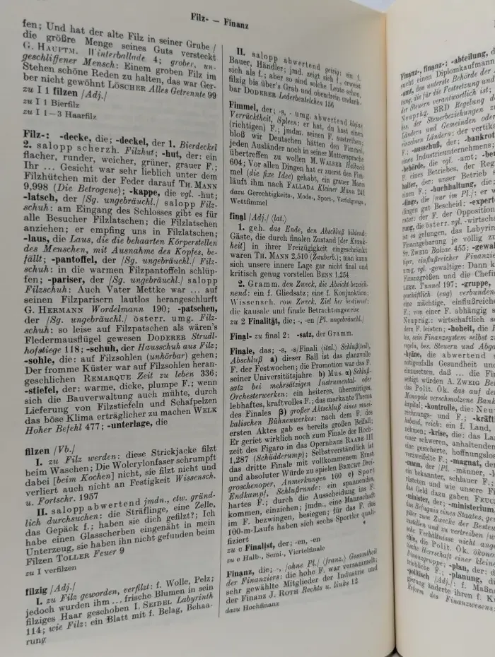 Worterbuch der deutschen Gegenwartssprache. Band 2