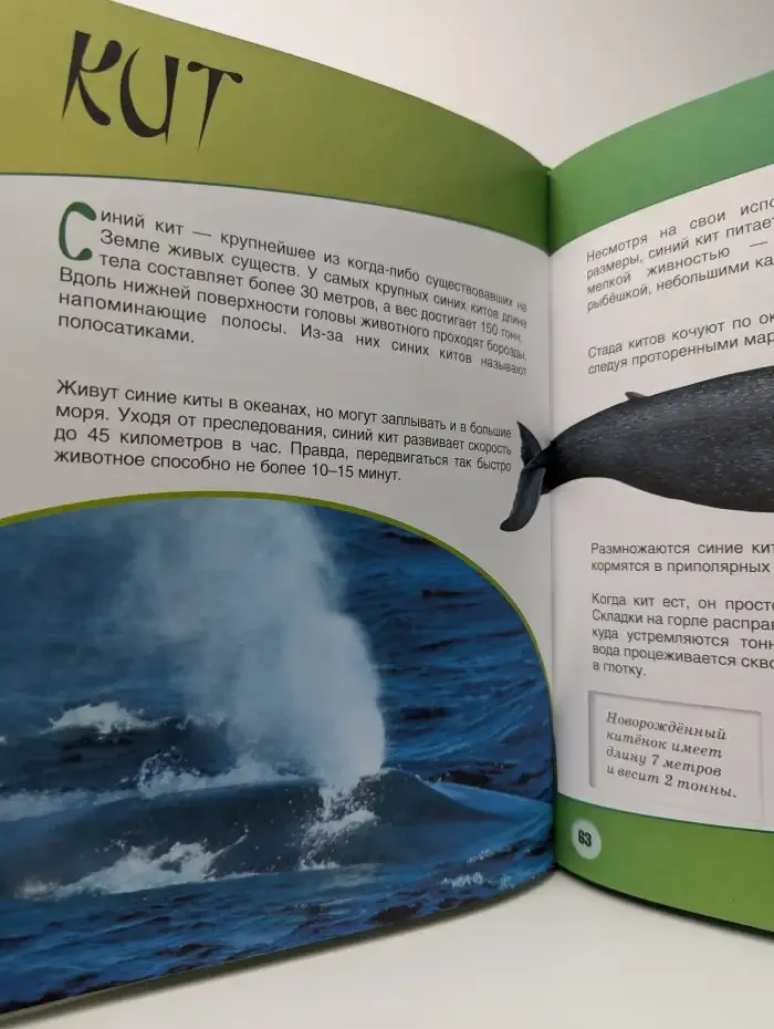 Моя первая энциклопедия. Животные