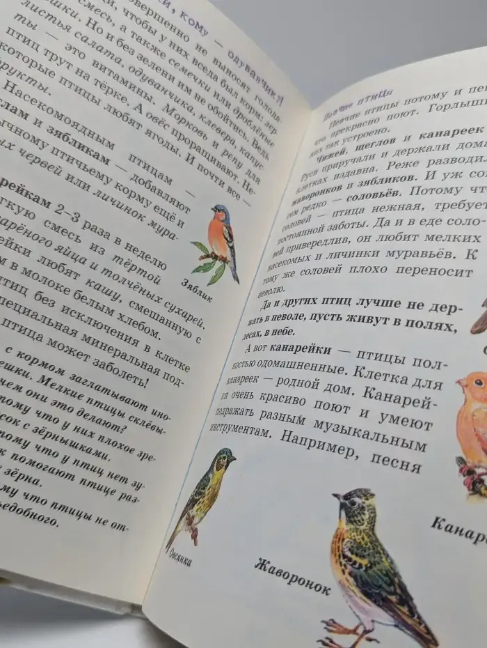 Азбука домашних животных