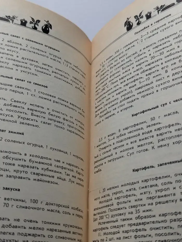 Домашний лечебник. Выпуск № 1/1991