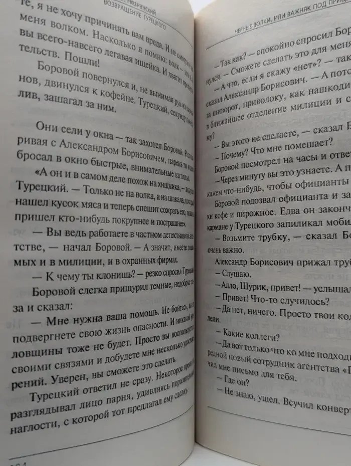Черные волки, или Важняк под прицелом