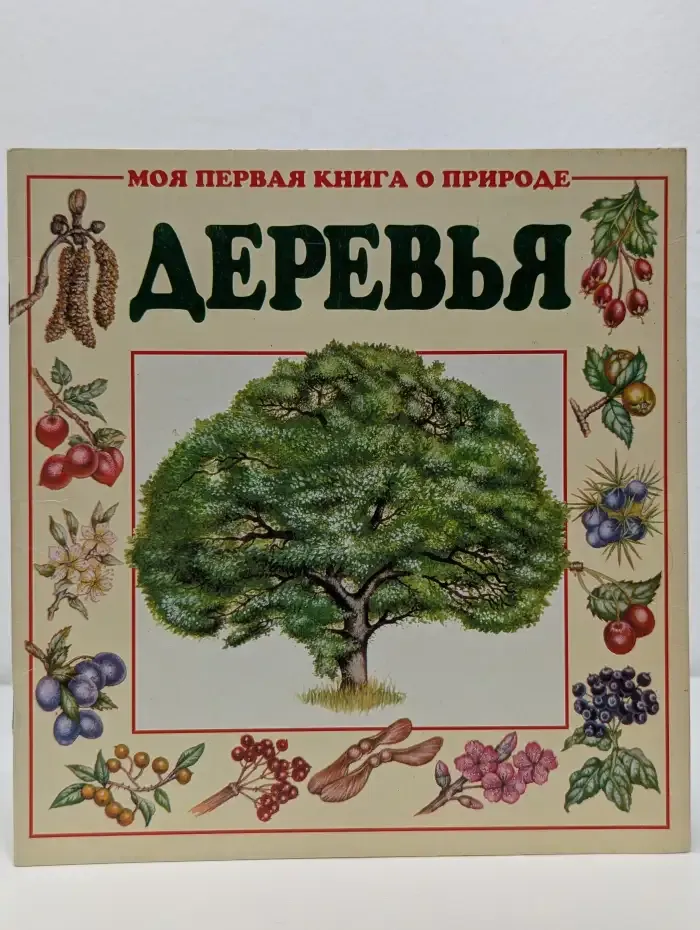 Деревья