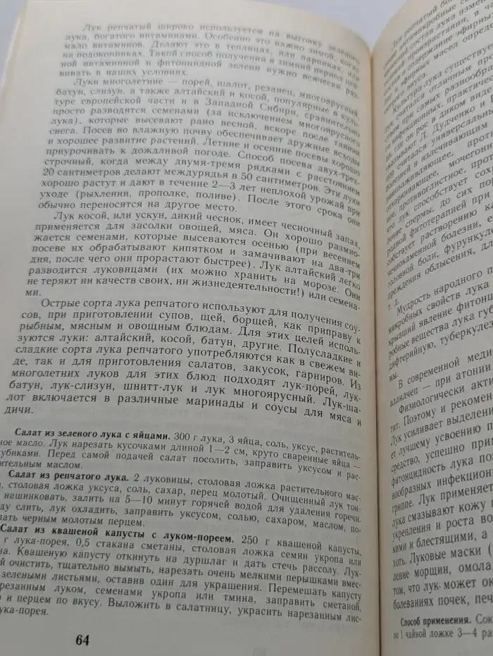 Наш сад-огород