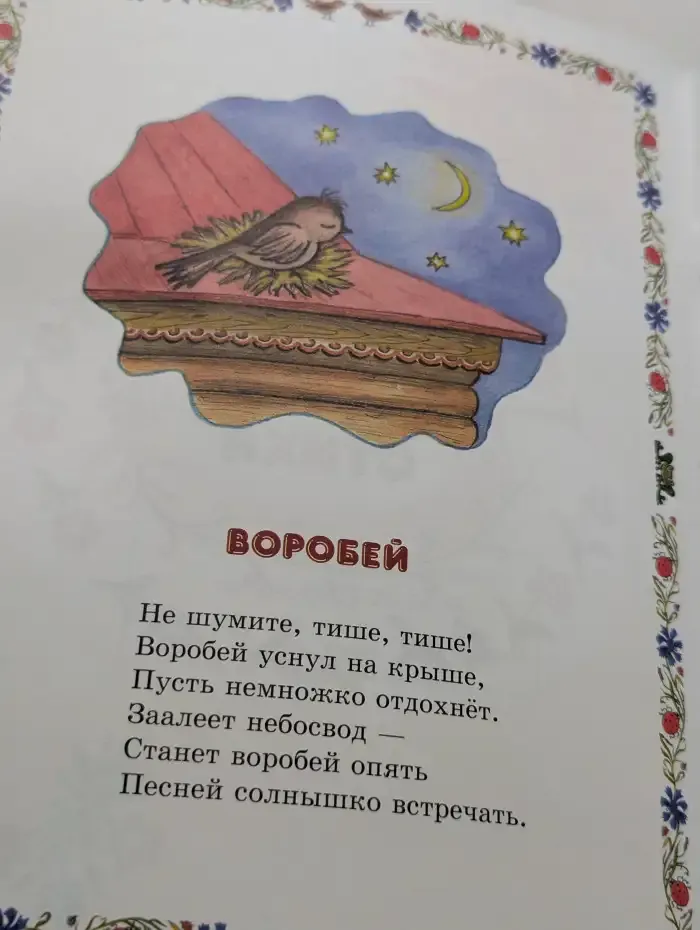 Мои друзья