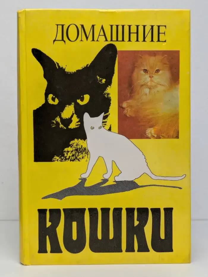 Домашние кошки
