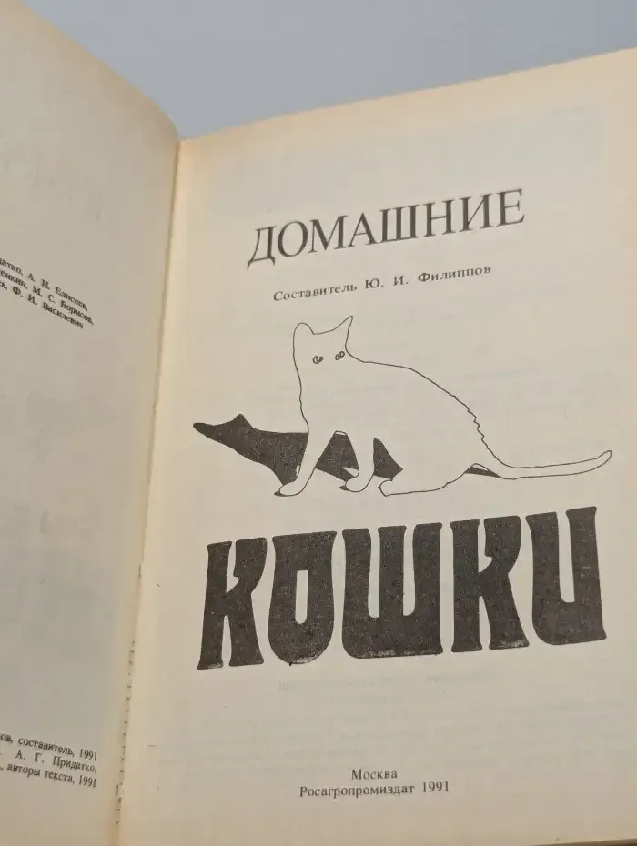 Домашние кошки