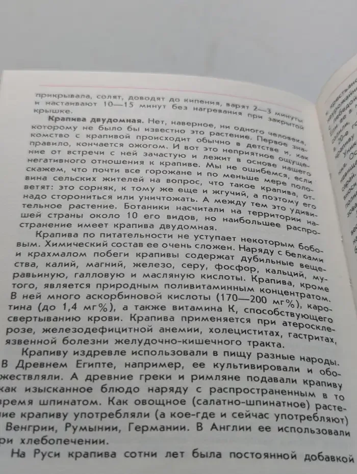 Растения на вашем столе