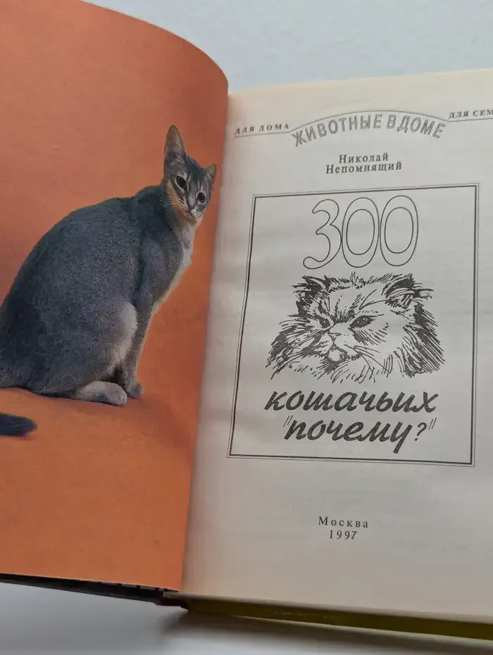 300 кошачьих почему