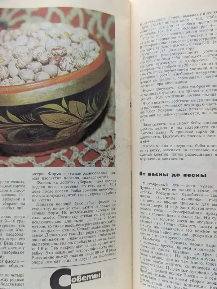 Юный натуралист №7, 1984