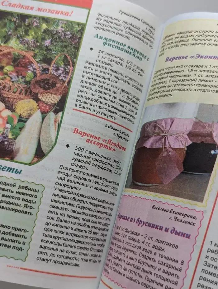 Золотая коллекция лучших заготовок №6, 2009